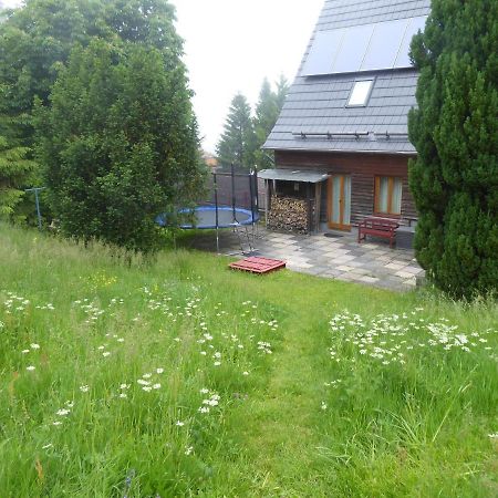 Haus Bergwiese - Fuer Naturfreunde, Familien, Wanderer Gehlberg エクステリア 写真