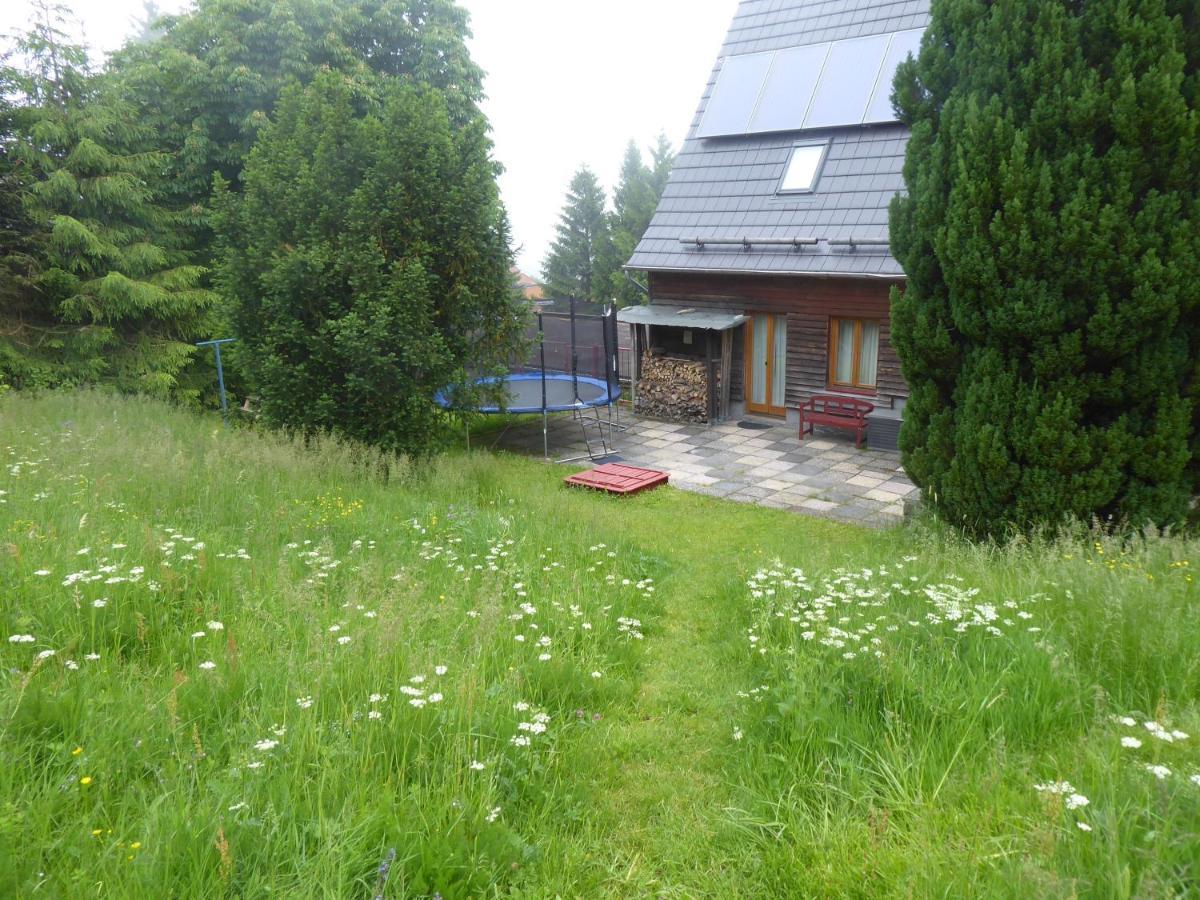 Haus Bergwiese - Fuer Naturfreunde, Familien, Wanderer Gehlberg エクステリア 写真